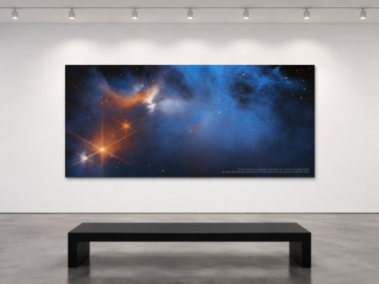 Chameleon I 30 x 60 glossy aluminum print shown to scale in a white gallery bench